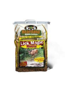 The Benefits of Offering Lick Magoc Mineral to Wildlife